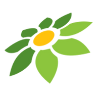 DOODSTREAM